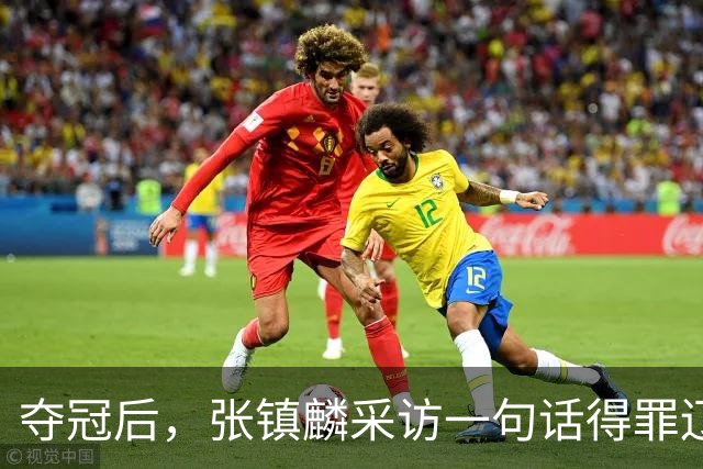 夺冠后，张镇麟采访一句话得罪辽宁，辽蜜：有本事到四川证明价值