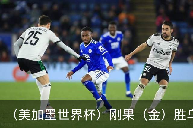 （美加墨世界杯）刚果（金）胜乌兹别克斯坦晋级 韩国无缘32强